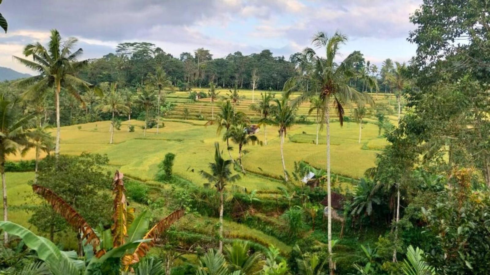 Pondok Sapta Sallaca Selat المظهر الخارجي الصورة